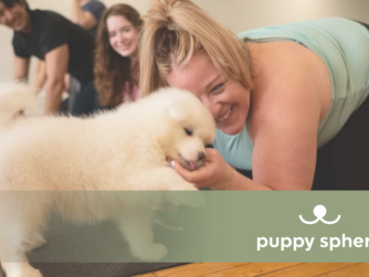 Puppy Sphere on the Angel Nest Podcast