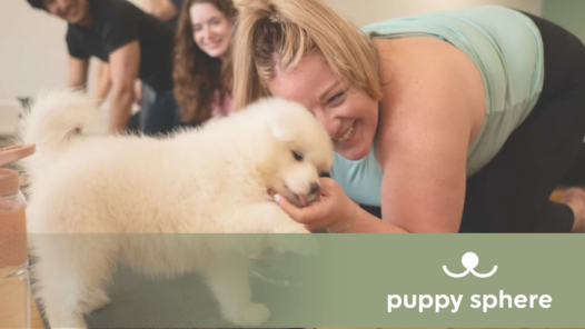 Puppy Sphere on the Angel Nest Podcast