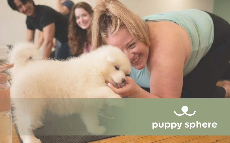 Puppy Sphere on the Angel Nest Podcast